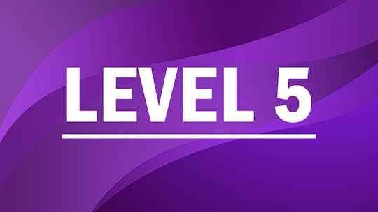 Level 5 by Pilates on Fifth