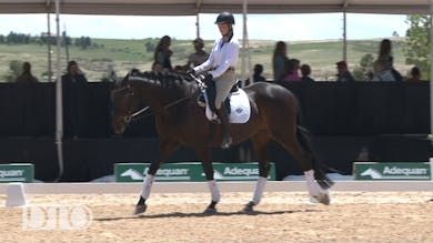 steiner axel stirrups riding without yields leg trot sitting shoulder