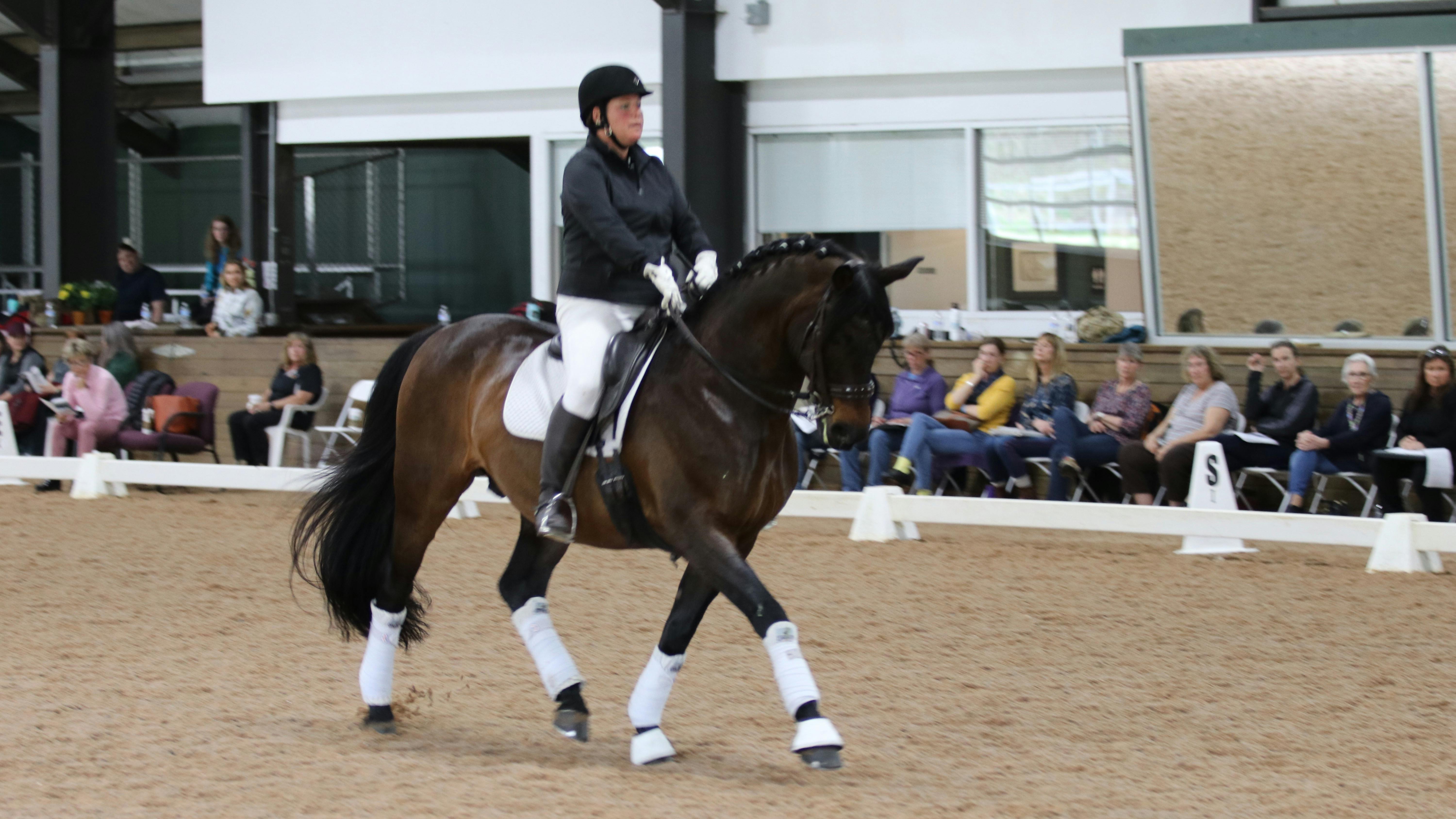 Foy 2019 Fourth Level, Test 2 Dressage Today Online