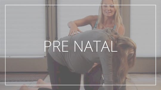 Pre Natal by Pilates Barre On Demand