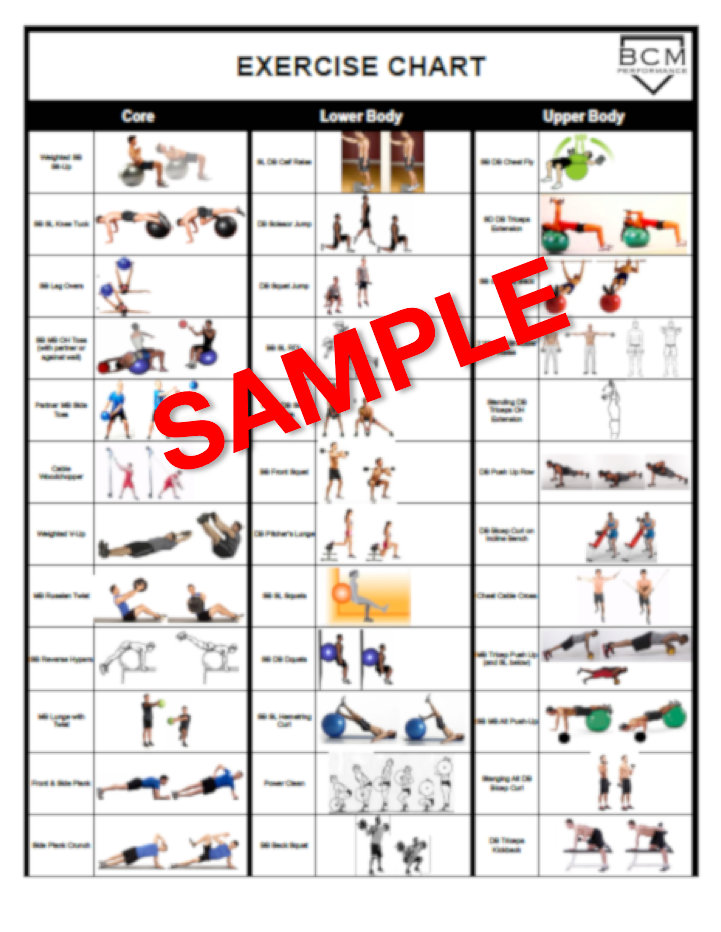 Bigger Faster Stronger Workout Sheet Pdf | EOUA Blog